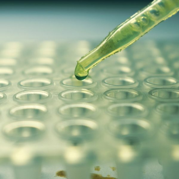 Best universities for physics, chemistry and maths degrees 2020